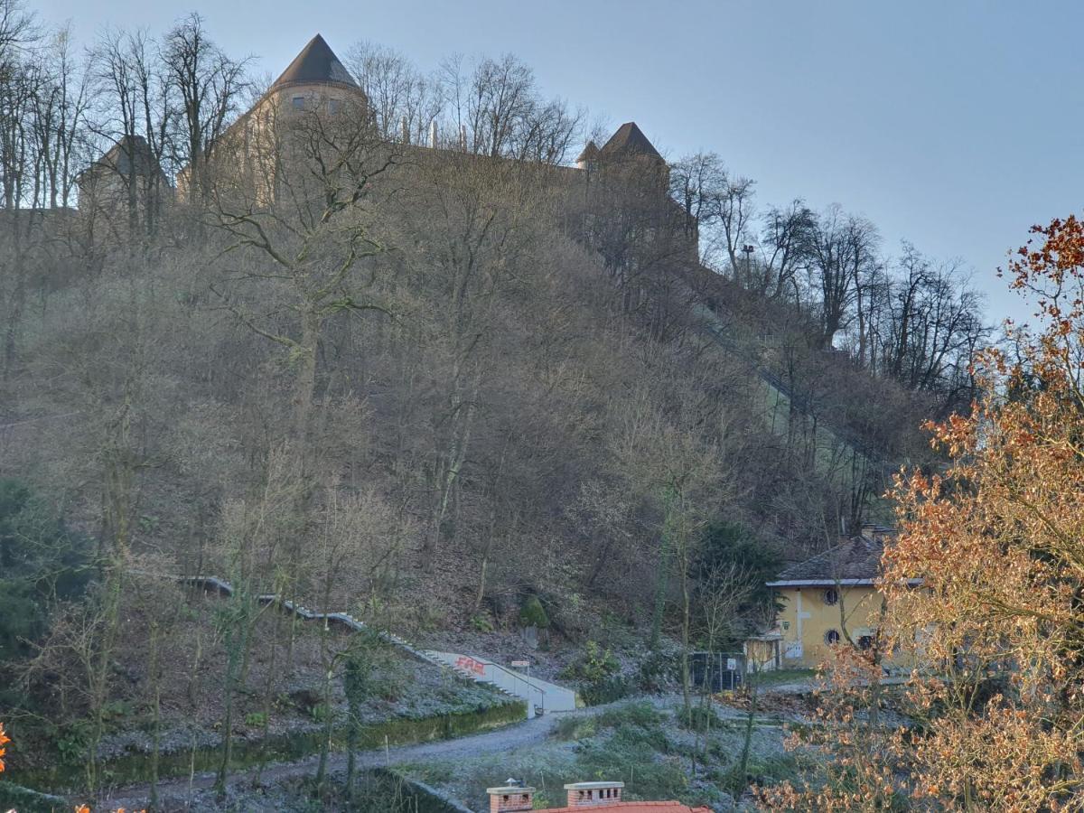 Bossa Nova Castle&Outstanding Home With Garage Liubliana Exterior foto